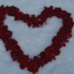 Meet your Posher, Universal